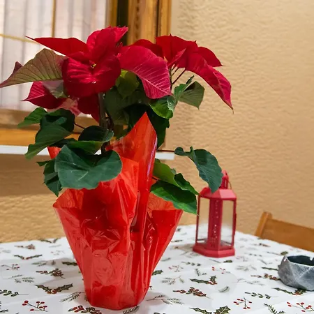 Lejlighed Ioanna's Home-trikala *