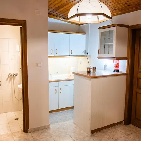 Lejlighed Ioanna's Home-trikala *